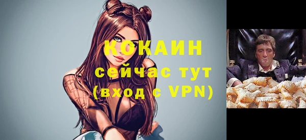 apvp Корсаков