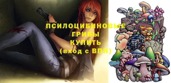 кокс Костерёво