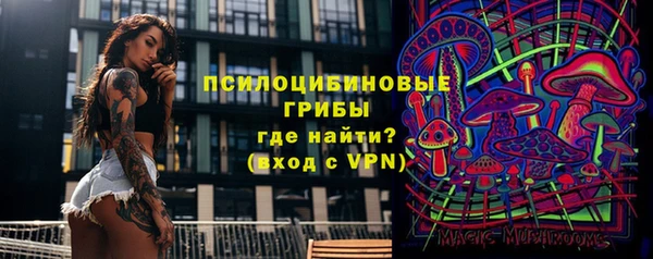 apvp Корсаков