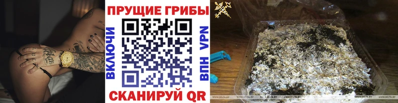 Купить где  Усть-Катав  Псилоцибиновые грибы Psilocybine cubensis 